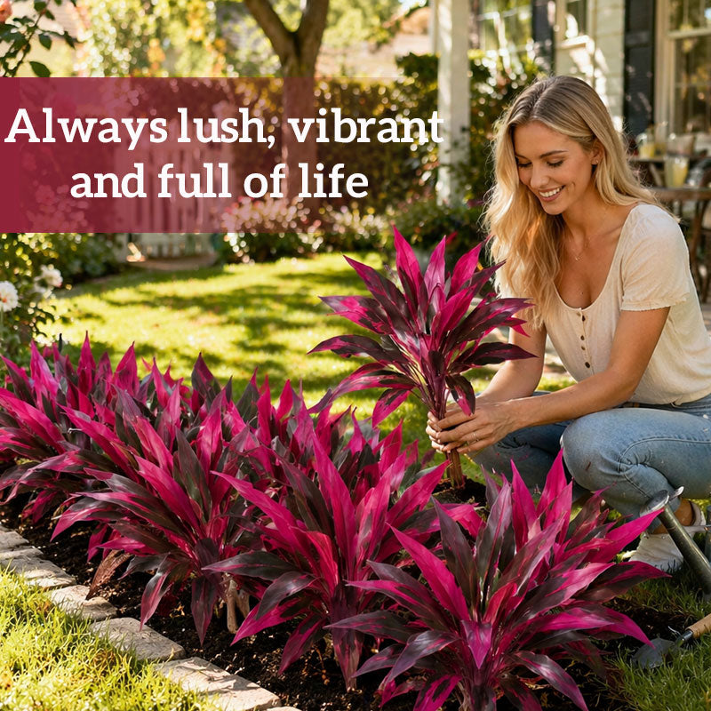 🔥 LAST DAY 50% OFF! 🏡🌿Artificial Red Cordyline Ti Plant – No-Fuss Year-Round Vibrant Foliage!