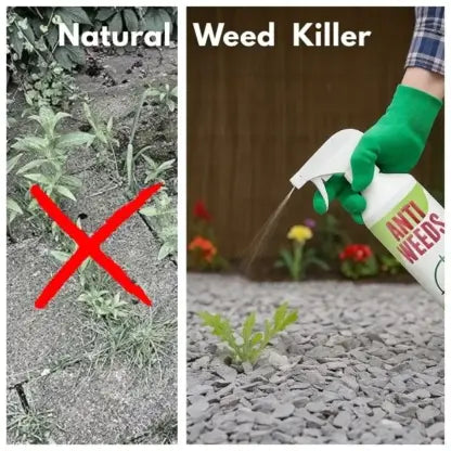 🌿AntiWeeds – 100% natural anti-weed product