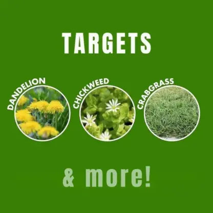 🌿AntiWeeds – 100% natural anti-weed product